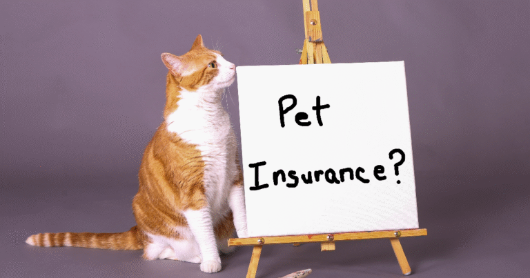 Pet Insurance: The Ultimate Guide To Protecting Your Pet and Your Wallet